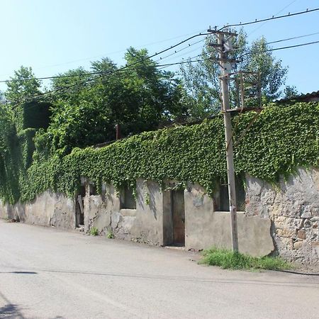Zarzma Hotel Kutaisi Eksteriør billede